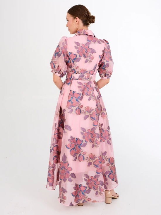 Abbey Glass Dresses & Skirts - Charlotte Gown Pink Floral Organza